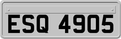 ESQ4905