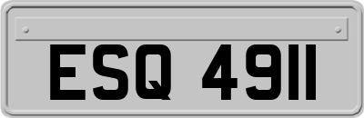 ESQ4911