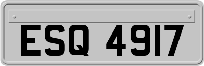 ESQ4917