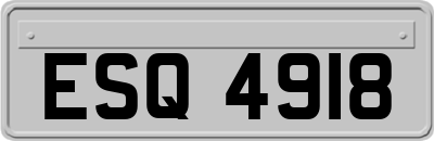 ESQ4918