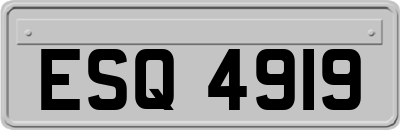 ESQ4919