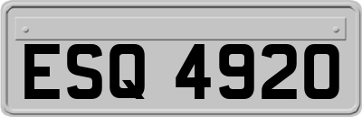 ESQ4920
