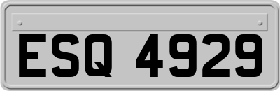 ESQ4929