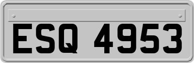 ESQ4953