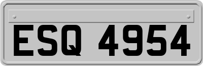 ESQ4954