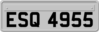 ESQ4955