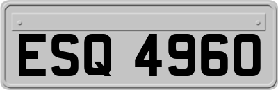 ESQ4960