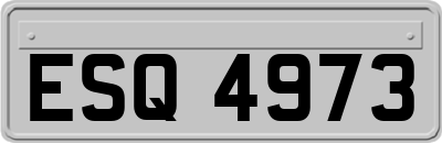 ESQ4973