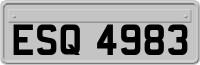 ESQ4983
