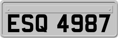 ESQ4987