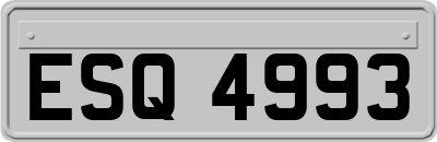 ESQ4993