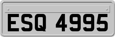 ESQ4995