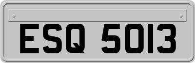 ESQ5013