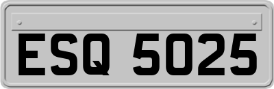 ESQ5025