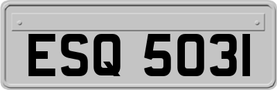 ESQ5031