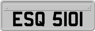 ESQ5101