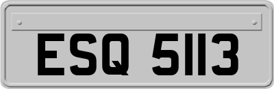 ESQ5113