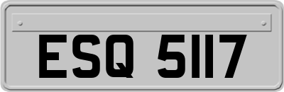 ESQ5117