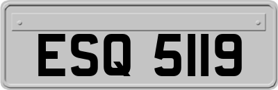 ESQ5119