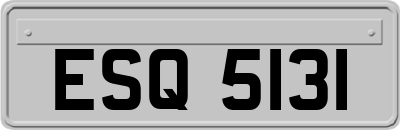 ESQ5131