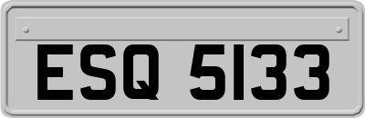 ESQ5133
