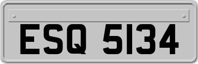 ESQ5134