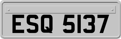ESQ5137