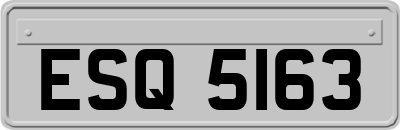 ESQ5163