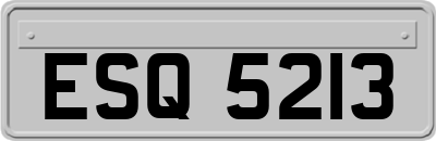 ESQ5213