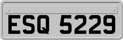 ESQ5229