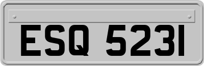 ESQ5231
