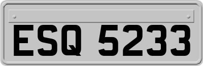ESQ5233