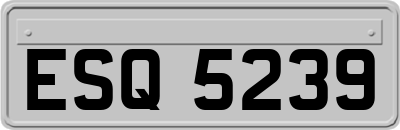 ESQ5239