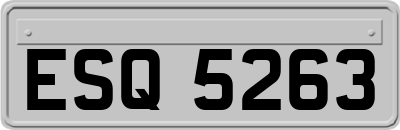 ESQ5263