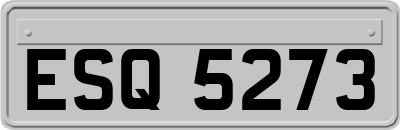 ESQ5273