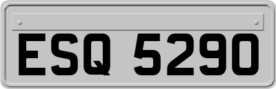 ESQ5290