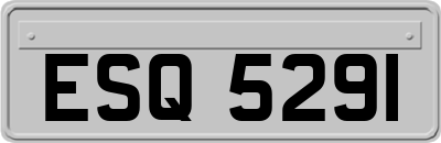 ESQ5291