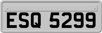 ESQ5299