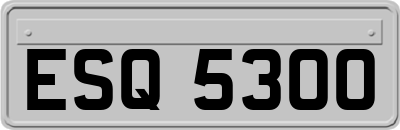 ESQ5300