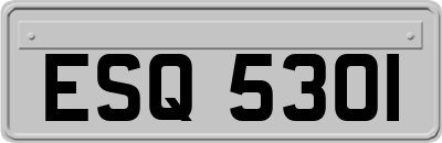 ESQ5301