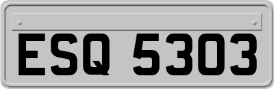 ESQ5303