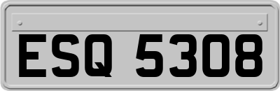 ESQ5308