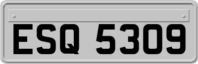 ESQ5309