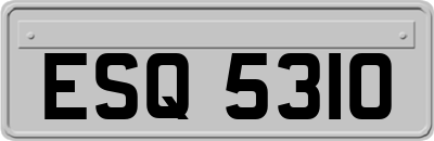 ESQ5310