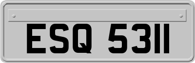 ESQ5311