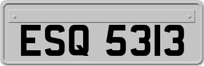 ESQ5313