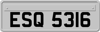 ESQ5316