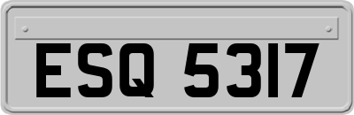 ESQ5317