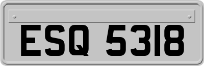 ESQ5318