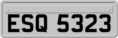 ESQ5323